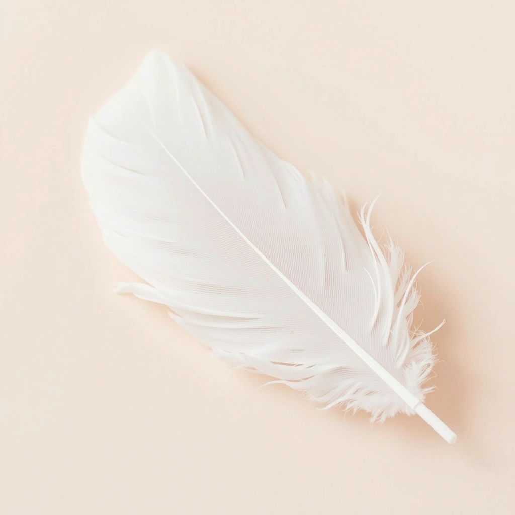 Karta dotykowa — Piórko (zdjęcie referencyjne) - Materiały - Dzień Lotnictwa